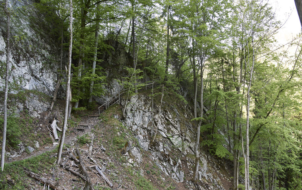 Smugglers' Path